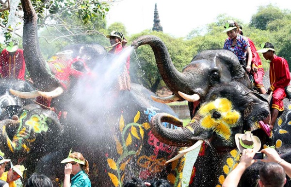 ������� ����� ��� � ������ 2014